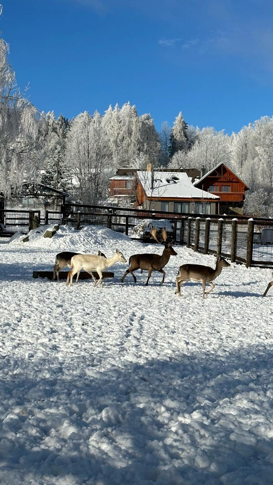 Hotel Farma František Stachy Exteriér fotografie