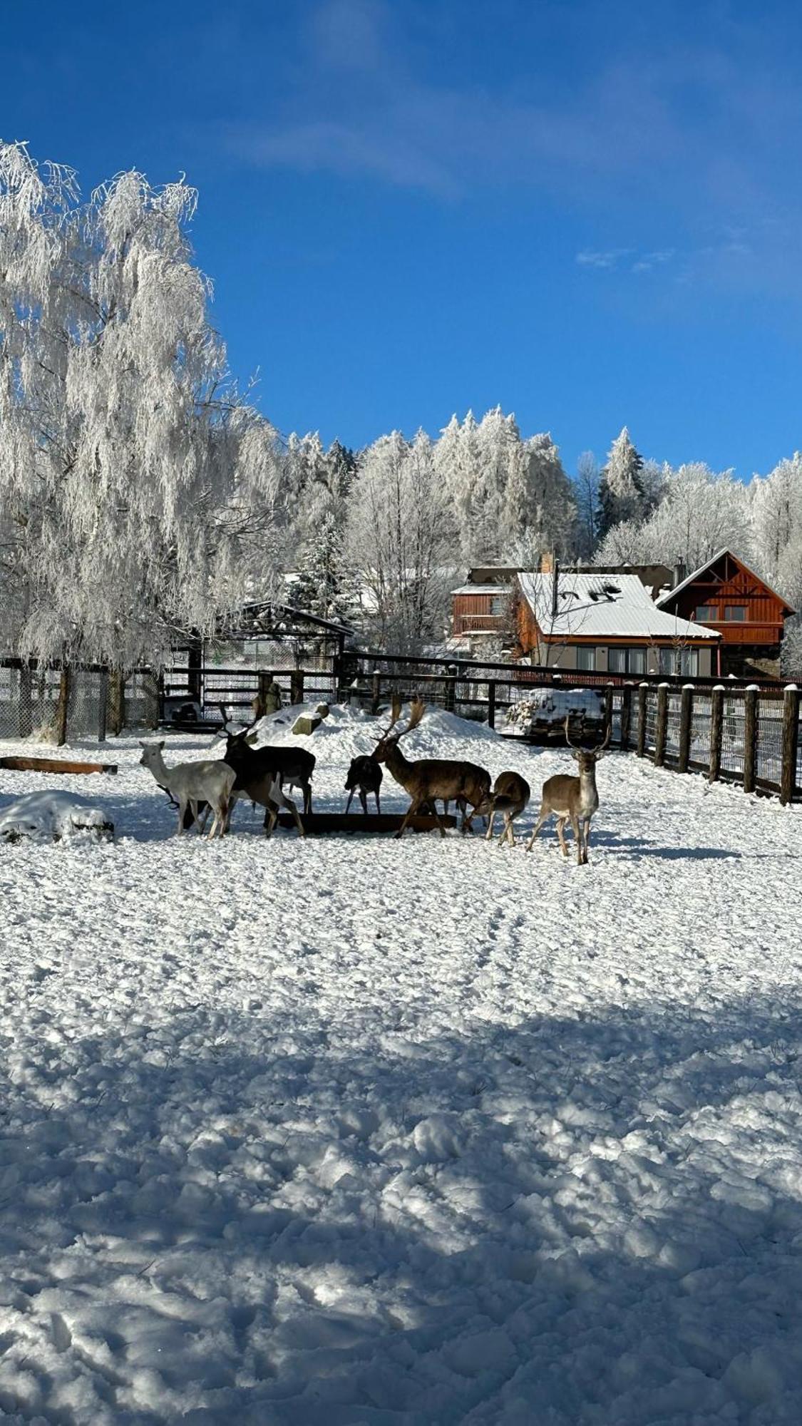 Hotel Farma František Stachy Exteriér fotografie